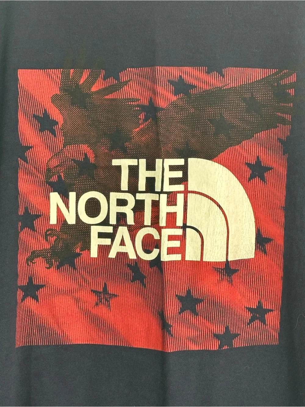 The North Face Men’s Lg Graphic T Shirt Navy Blue Red Logo Short Sleeve Outdoor